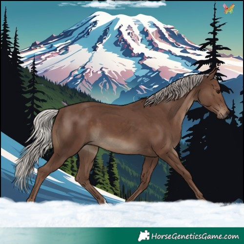 Horse Color:Silver Black 