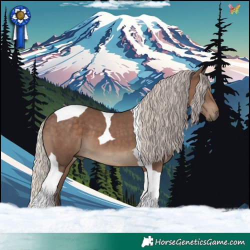 Horse Color:Silver Black Tobiano 