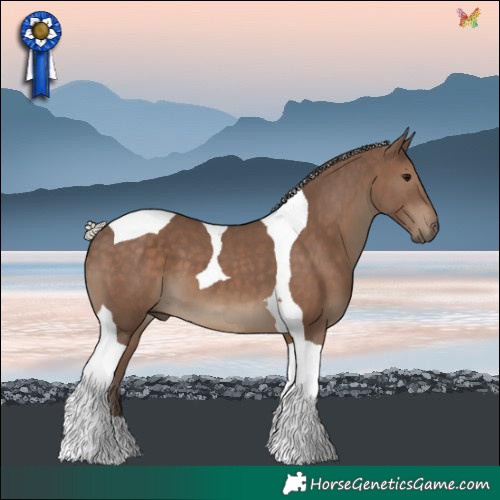 Horse Color:Silver Black Tobiano 
