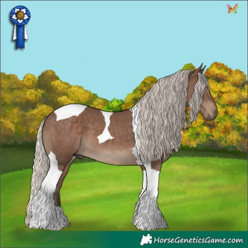 Horse Color:Silver Black Tobiano 