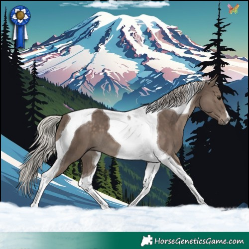 Horse Color:Silver Black Tobiano 