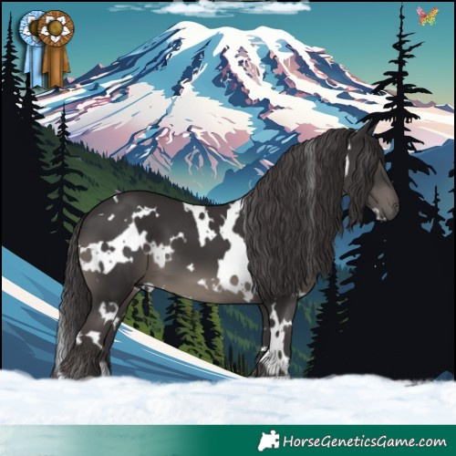 Horse Color:White Spotted Smoky Black 