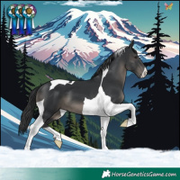 Horse Color:Black Tobiano 