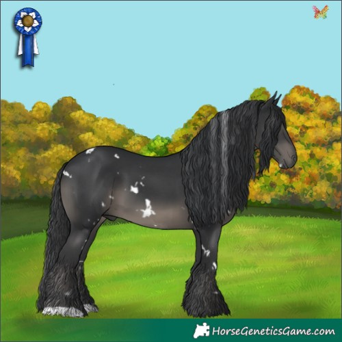 Horse Color:White Spotted Black 