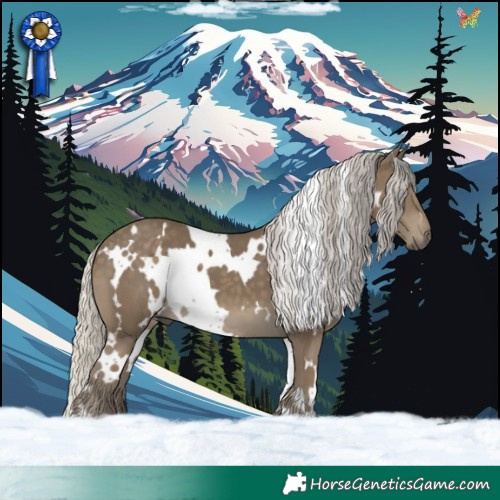 Horse Color:White Spotted Silver Smoky Black 