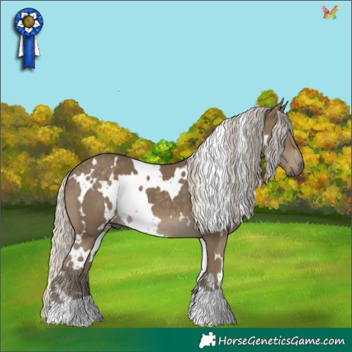 Horse Color:White Spotted Silver Smoky Black 