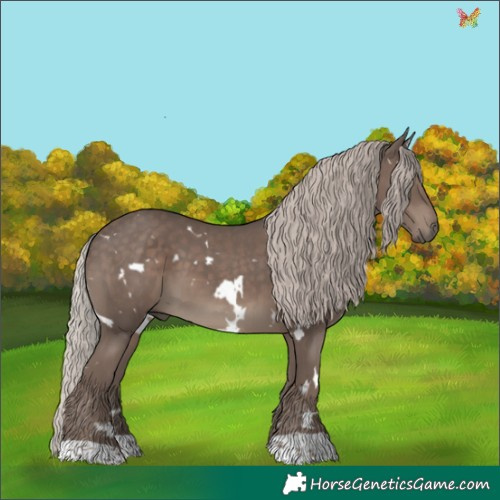 Horse Color:White Spotted Silver Black 