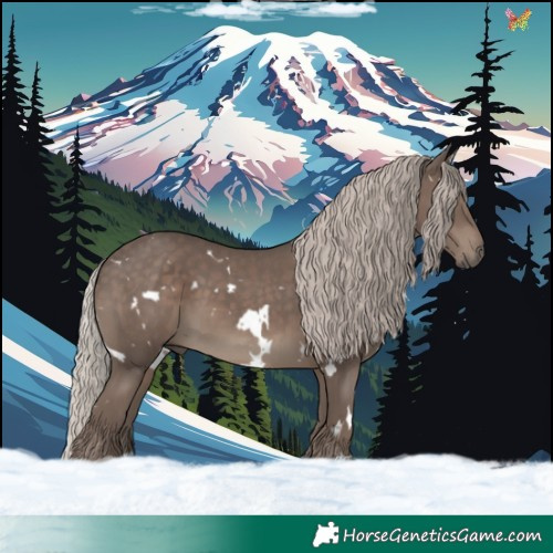 Horse Color:White Spotted Silver Black 