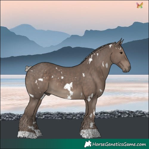 Horse Color:White Spotted Silver Black 