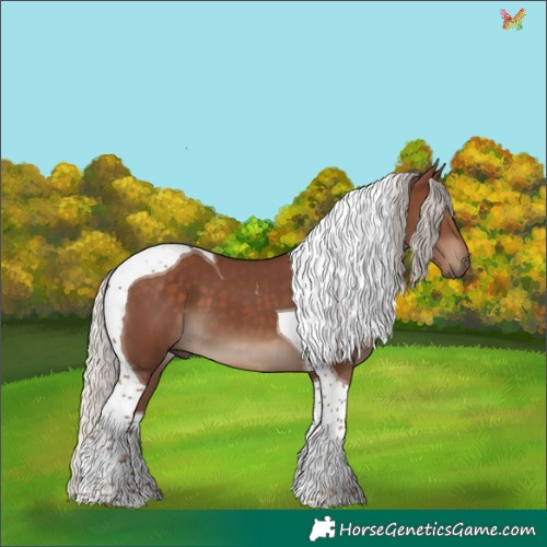 Horse Color:Silver Black Tobiano 