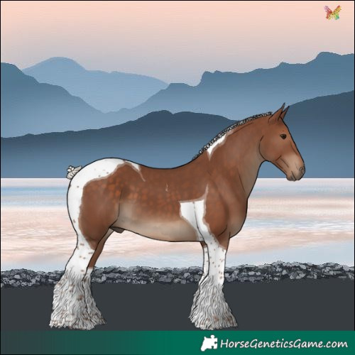 Horse Color:Silver Black Tobiano 