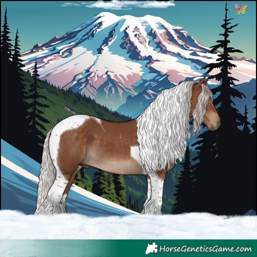 Horse Color:Silver Black Tobiano 