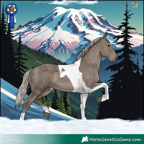 Horse Color:Silver Black Tobiano 