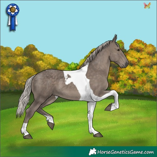 Horse Color:Silver Black Tobiano 