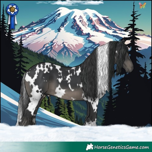 Horse Color:White Spotted Black 