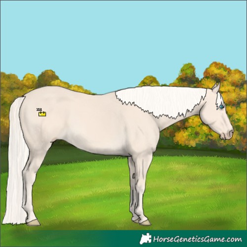 Horse Color:Cremello 
