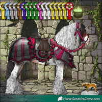 Horse Color:Brown Roan Tobiano Frame Rabicano 