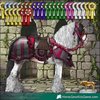 Horse Color:Brown Roan Tobiano Frame Rabicano
