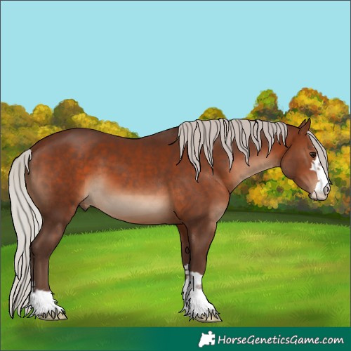 Horse Color:Silver Brown 