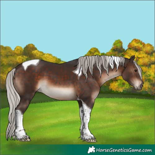 Horse Color:Silver Brown Tobiano 