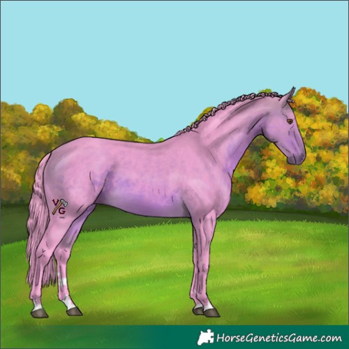 Horse Color:Watercolor Buckskin 