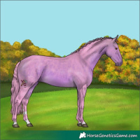 Horse Color:Watercolor Buckskin 