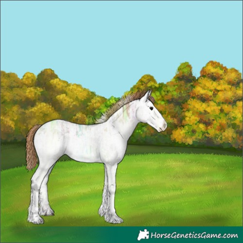 Horse Color:White Spotted Black Ice Pearl Varnish 