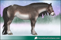 Horse Color:Platinum Liver Chestnut Tobiano Rabicano