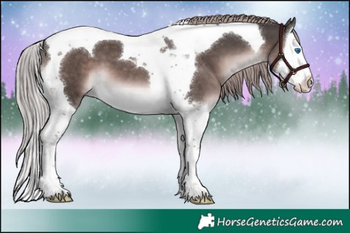Horse Color:Platinum Liver Chestnut Splash Tobiano