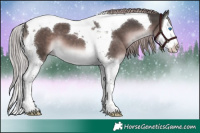 Horse Color:Platinum Liver Chestnut Splash Tobiano 