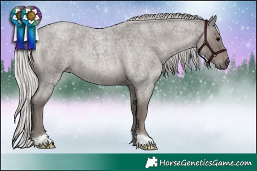 Horse Color:Platinum Silver Smoky Blue Roan 