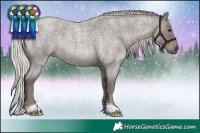 Horse Color:Platinum Silver Smoky Blue Roan 