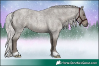 Horse Color:Platinum Silver Smoky Blue Roan 