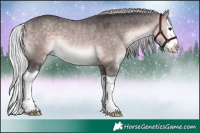 Horse Color:Platinum Silver Buckskin Splash Rabicano