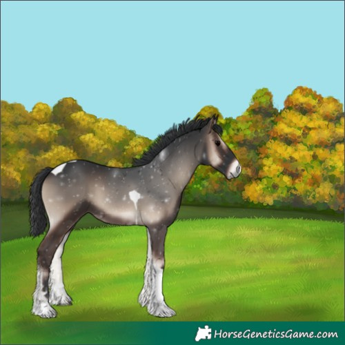 Horse Color:Blue Onyx Tobiano 