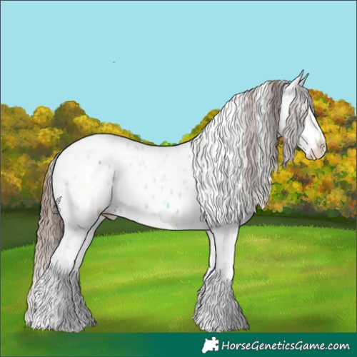 Horse Color:Amber Champagne Ice Tobiano Appaloosa 