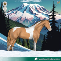 Horse Color:Chestnut Splash Tobiano