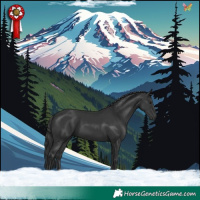 Horse Color:Black 