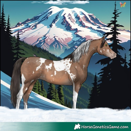 Horse Color:White Spotted Sable Champagne Tobiano 