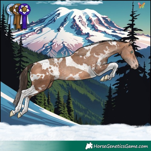Horse Color:White Spotted Amber Champagne Tobiano Rabicano 