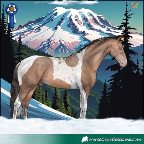 Horse Color:Amber Champagne Tobiano 