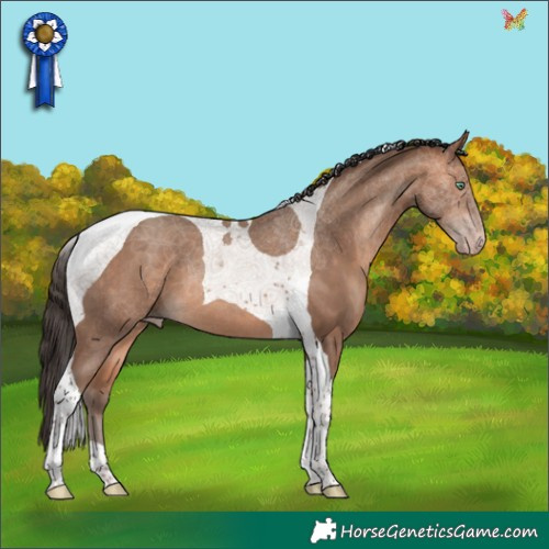 Horse Color:Amber Champagne Tobiano 