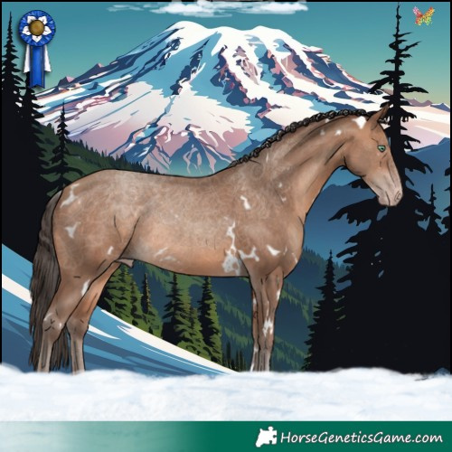 Horse Color:White Spotted Sable Champagne 