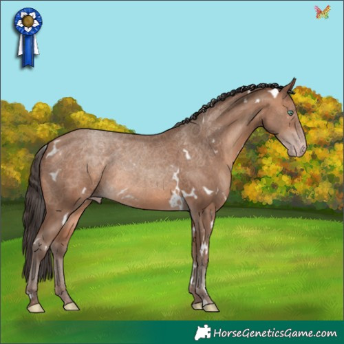 Horse Color:White Spotted Sable Champagne 
