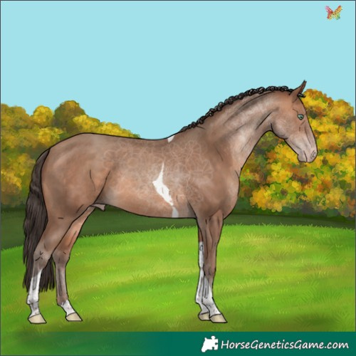 Horse Color:Sable Champagne Tobiano Rabicano 