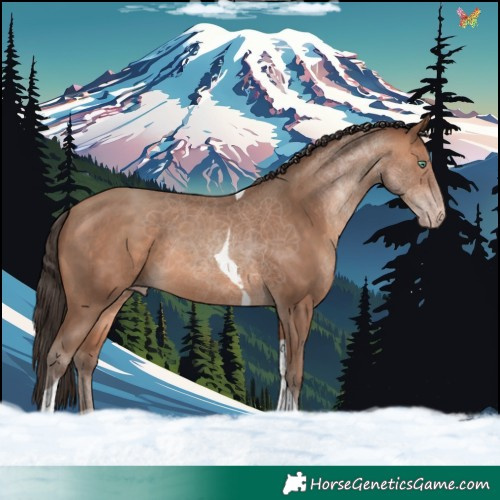 Horse Color:Sable Champagne Tobiano Rabicano 