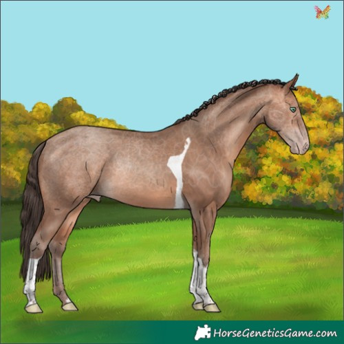 Horse Color:Amber Champagne Tobiano Rabicano 