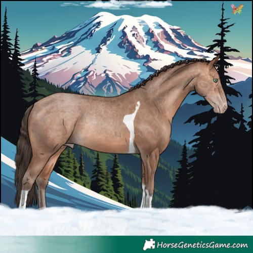 Horse Color:Amber Champagne Tobiano Rabicano 