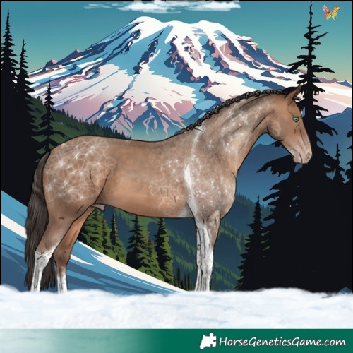 Horse Color:Sable Champagne Tobiano 