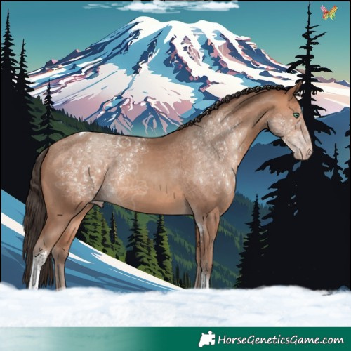 Horse Color:Amber Champagne Tobiano Rabicano 